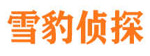 盘龙找人公司